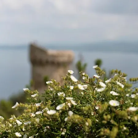 Casa Vadde Lungha Superbe Vue 8 Personnes Сasa de vacaciones Coti-Chiavari (Corsica)