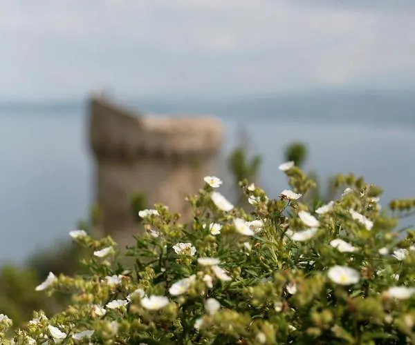 Casa Vadde Lungha Superbe Vue 8 Personnes Hébergement de vacances Coti-Chiavari (Corsica)